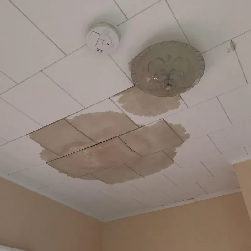 Ceiling Water Damage Repair in Center, CO