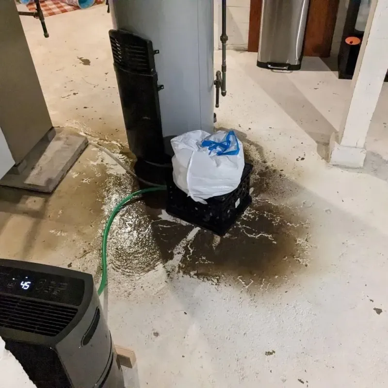 Sewage Backup Cleanup Service in Center, CO
